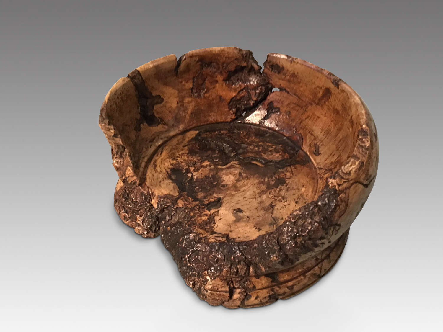 Antique burr sycamore bowl