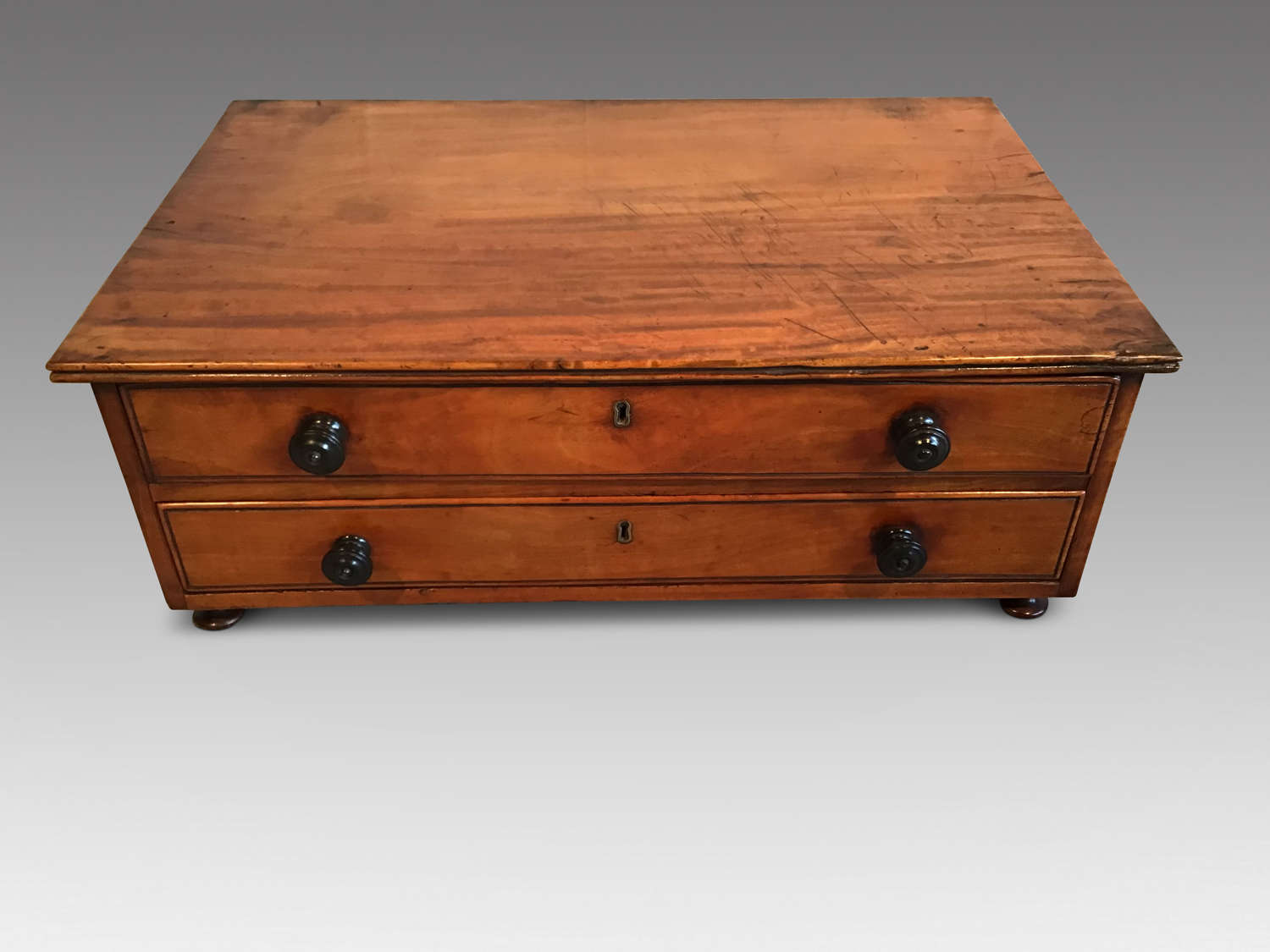 Regency satinwood collectors chest