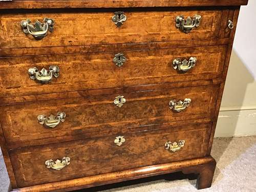 Antique walnut batchelors chest of drawers