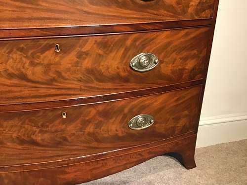 Antique mahogany bow front chest of drawers