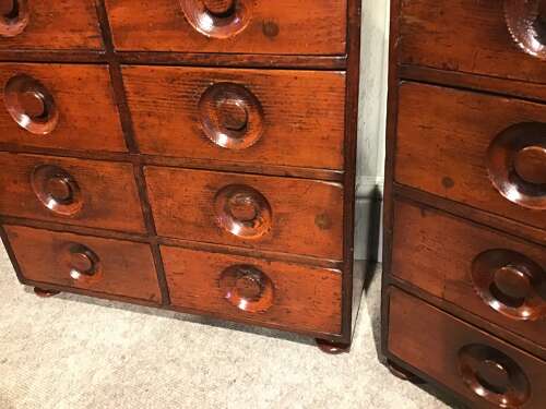 Pair of apothecary chests