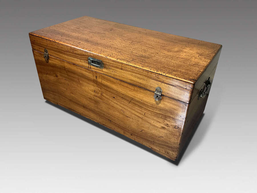 Camphor trunk