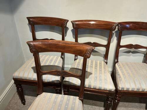 Set of six William IV dining chairs